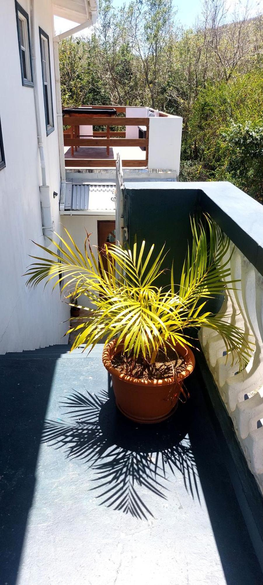 Apartment Joanna Rodney Bay 客房 照片
